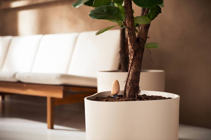 smart pebble brun terreux